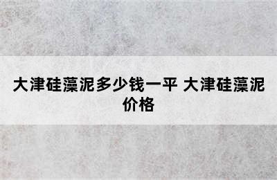 大津硅藻泥多少钱一平 大津硅藻泥价格